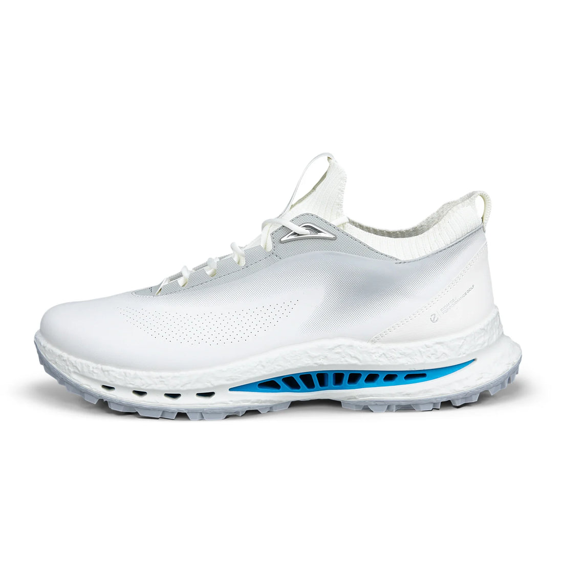 ECCO M Golf BIOM C5 Lace GTX – golfskor – bild 2