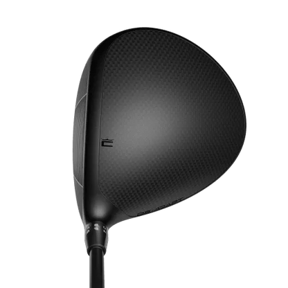 Cobra DS-Adapt LS driver sedd uppifrån vid adress