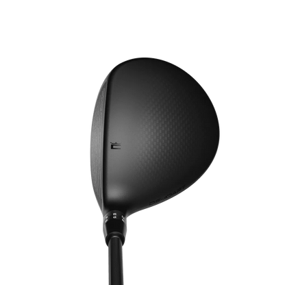 Cobra DS-Adapt LS fairwaywood sedd uppifrån vid adress