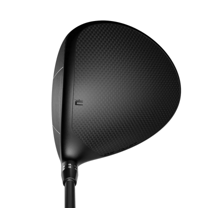 Cobra DS-Adapt X driver sedd uppifrån vid adress