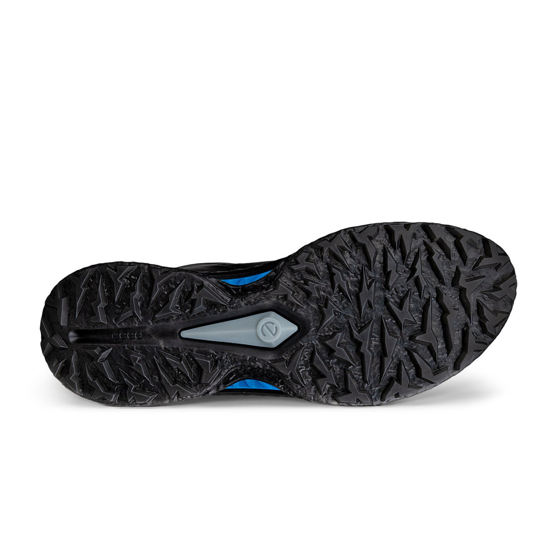 ECCO Golf BIOM C5 BOA GTX golfsko herr i svart, vy snett bakifrån